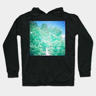 lomo vaporwave SIREN Hoodie